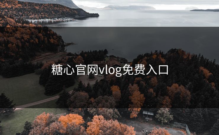 糖心官网vlog免费入口