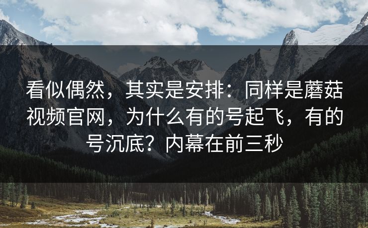 看似偶然，其实是安排：同样是蘑菇视频官网，为什么有的号起飞，有的号沉底？内幕在前三秒